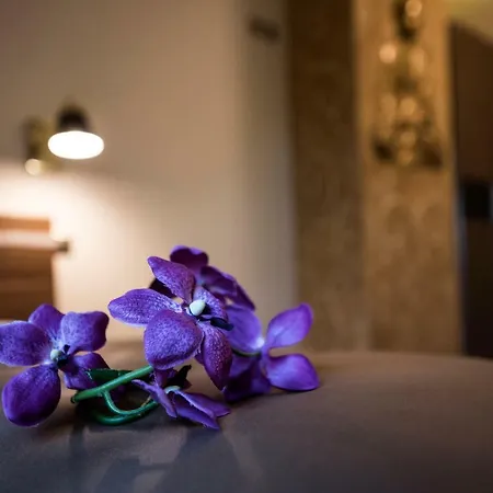 Bed & Breakfast Apartamenty Gizycko *
